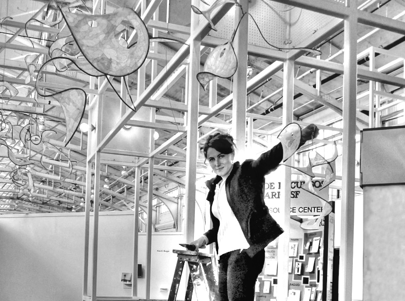 Suzanne Kehr - Visual Artist